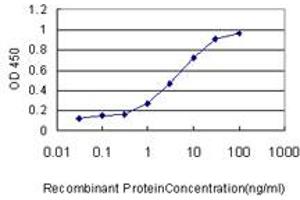 Detection limit for recombinant GST tagged ICAM1 is approximately 0. (ICAM1 antibody  (AA 1-532))
