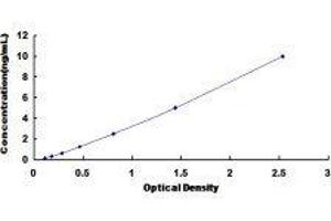 Typical standard curve (SLIT1 ELISA Kit)