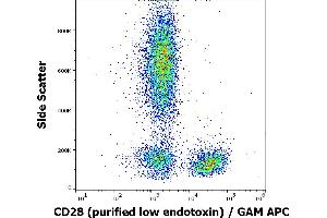 Flow cytometry surface staining pattern of human peripheral blood stained using anti-human CD28 (CD28. (CD28 antibody)