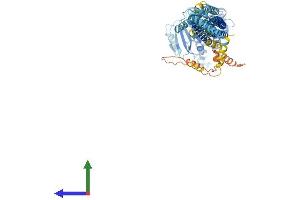 AlphaFold protein structure predicition of Mouse Recombinant Mfn2 Protein, UniprotID Q80U63 (MFN2 Protein (AA 1-757) (His tag))