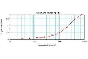 Image no. 1 for anti-Apolipoprotein E (APOE) antibody (ABIN465190) (APOE antibody)
