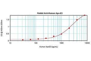 Image no. 1 for anti-Apolipoprotein E (APOE) antibody (ABIN465189) (APOE antibody)