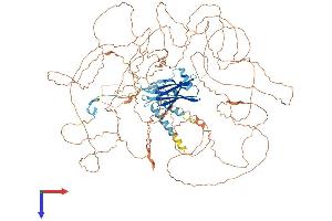 PPP1R3A Protein (AA 1-1089) (His tag)