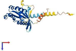 RAB, Member of RAS Oncogene Family-Like 2 (RABL2) (AA 1-223) protein (His tag)
