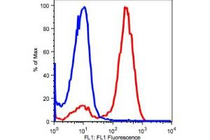 Image no. 2 for anti-CD2 (CD2) antibody (FITC) (ABIN2704200) (CD2 antibody  (FITC))