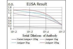 ELISA image for anti-Mitogen-Activated Protein Kinase Kinase 7 (MAP2K7) antibody (ABIN969271)