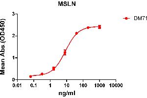 ELISA plate pre-coated by 2 μg/mL (100 μL/well) Human MSLN protein, mFc-His tagged protein (ABIN6961104) can bind Rabbit anti-MSLN monoclonal antibody (clone: DM71) in a linear range of 1-100 ng/mL. (Recombinant Mesothelin antibody  (AA 296-580))