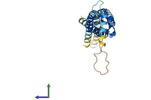 AlphaFold protein structure predicition of Human Recombinant C12orf60 Protein, UniprotID Q5U649