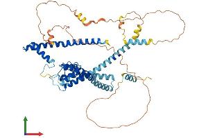 AlphaFold protein structure predicition of Human Recombinant KCNK5 Protein, UniprotID O95279 (KCNK5 Protein (AA 1-499) (His tag))
