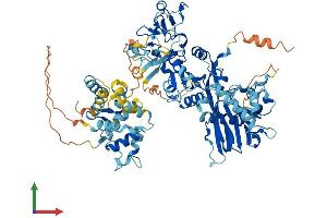 AlphaFold protein structure predicition of Human Recombinant DGKB Protein, UniprotID Q9Y6T7