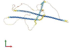 AlphaFold protein structure predicition of Human Recombinant IFFO1 Protein, UniprotID Q0D2I5 (IFFO1 Protein (AA 1-559) (His tag))