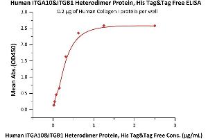 Integrin alpha 10 beta 1 (AA 23-1122) (Active) protein (His tag)