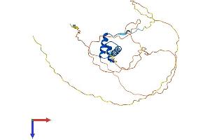 Nanog Homeobox Pseudogene 8 (NANOGP8) (AA 1-305) protein (His tag)