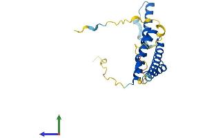 Protein Structure (PS) image for Retinal Degeneration 3 (RD3) (AA 1-195) protein (His tag) (ABIN7558834)