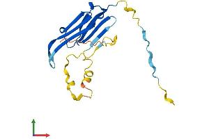 AlphaFold protein structure predicition of Human Recombinant CRYAA Protein, UniprotID P02489