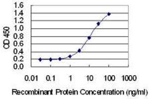 Detection limit for recombinant GST tagged FAM122A is 0. (FAM122A antibody  (AA 1-287))