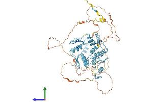 AlphaFold protein structure predicition of Human Recombinant ZNF467 Protein, UniprotID Q7Z7K2