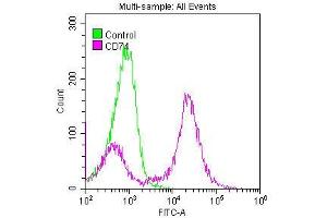 Overlay histogram showing Raji cells stained with ABIN7127283 (red line) at 1:50. (Recombinant CD74 antibody)