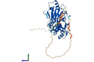 Protein Structure (PS) image for SMAD Family Member 9 (SMAD9) (AA 1-430) protein (His tag) (ABIN7561558)