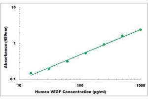 Representative Standard Curve (VEGF ELISA Kit)
