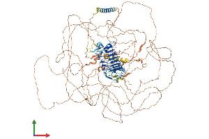 AlphaFold protein structure predicition of Human Recombinant LRRC53 Protein, UniprotID A6NM62 (LRRC53 Protein (AA 1-1247) (His tag))