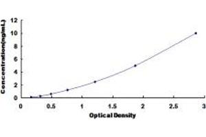 Typical standard curve (UGT2B7 ELISA Kit)