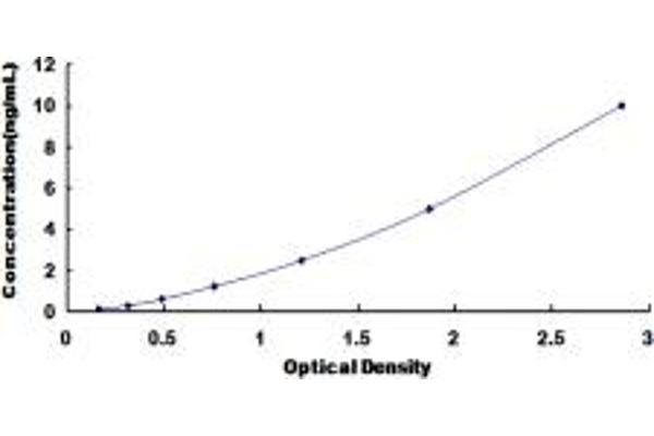 UGT2B7 ELISA Kit