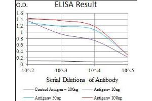 Black line: Control Antigen (100 ng), Purple line: Antigen(10 ng), Blue line: Antigen (50 ng), Red line: Antigen (100 ng), (Cadherin 5 antibody  (AA 29-223))