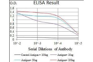 Black line: Control Antigen (100 ng), Purple line: Antigen(10 ng), Blue line: Antigen (50 ng), Red line: Antigen (100 ng), (Cadherin 5 antibody  (AA 29-223))