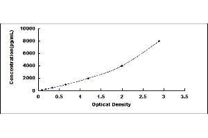 Typical standard curve (SERPINH1 ELISA Kit)