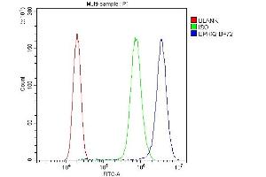 Flow Cytometry analysis of PC-3 cells using anti-EPHX2 antibody (ABIN4886572).