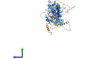 AlphaFold protein structure predicition of Mouse Recombinant Myo19 Protein, UniprotID Q5SV80