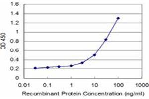 Detection limit for recombinant GST tagged IL12RB2 is approximately 1ng/ml as a capture antibody.
