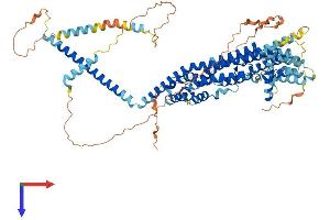AlphaFold protein structure predicition of Mouse Recombinant Gcfc2 Protein, UniprotID Q8BKT3 (GCFC2 Protein (AA 1-769) (His tag))