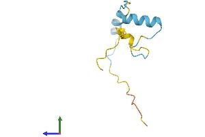 AlphaFold protein structure predicition of Human Recombinant MUSTN1 Protein, UniprotID Q8IVN3