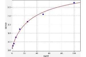 APH1A ELISA Kit