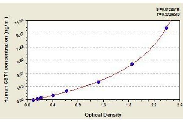 CST1 ELISA Kit