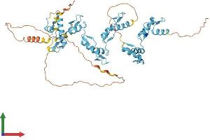 AlphaFold protein structure predicition of Human Recombinant ZNF517 Protein, UniprotID Q6ZMY9