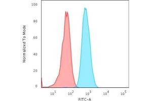Flow Cytometry (FACS) image for anti-Keratin 4 (KRT4) (AA 181-292) antibody (ABIN6939863)