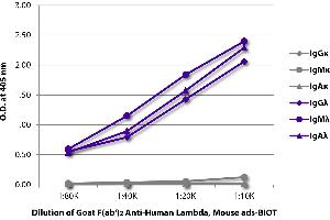 ELISA plate was coated with purified human IgGκ, IgMκ, IgAκ, IgGλ, IgMλ, and IgAλ. (Goat anti-Human lambda (Chain lambda) Antibody (Biotin) - Preadsorbed)