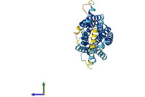 Protein Structure (PS) image for G Protein-Coupled Receptor 15 (GPR15) (AA 1-360) protein (His tag) (ABIN7548156)