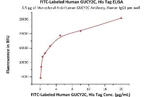 Immobilized Monoclonal A GUCY2C Antibody, Human IgG1 at 5 μg/mL (100 μL/well) can bind Fed Human GUCY2C, His Tag (ABIN6973085) with a linear range of 0.