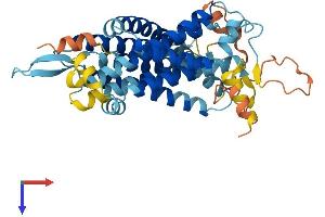 Serine Incorporator 5 (SERINC5) (AA 1-423) protein (His tag)