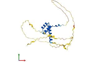 AlphaFold protein structure predicition of Mouse Recombinant Dlx4 Protein, UniprotID P70436