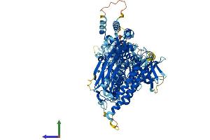 AlphaFold protein structure predicition of Human Recombinant RASA4B Protein, UniprotID C9J798 (RASA4B Protein (AA 1-803) (His tag))