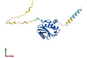 AlphaFold protein structure predicition of Human Recombinant COPZ2 Protein, UniprotID Q9P299