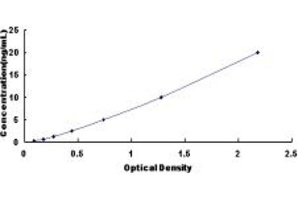 FOXA2 ELISA Kit