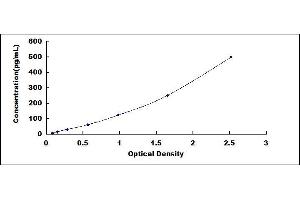 Typical standard curve (M-CSF/CSF1 ELISA Kit)