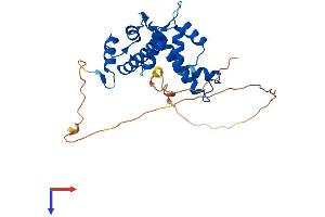 PEF1 Protein (AA 1-284) (His tag)