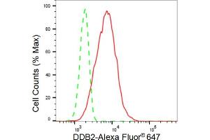 Flow cytometric analysis of DDB2 expression in HT- cells using DDB2 antibody (ABIN7798274), 1:2,000). (Recombinant DDB2 antibody)
